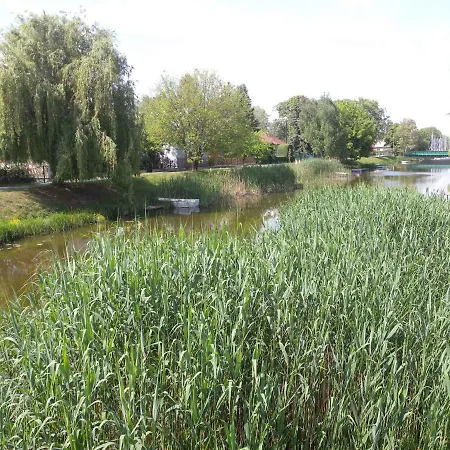 Balatonmariafurdo, Somogy 1 بيت للعطل Balatonmáriafürdő